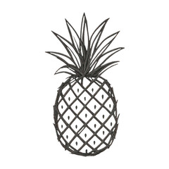 Obraz premium PNG Minimalist pineapple sketch design.