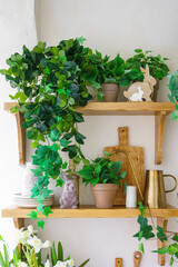 Easter home decor with green plants, wooden shelves and bunny figurine in bright spring room interior. Cozy seasonal decoration with natural materials, fresh greenery and soft light.
