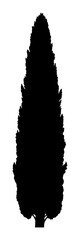 Cypress Tree Silhouette - Minimalist Vector Illustration