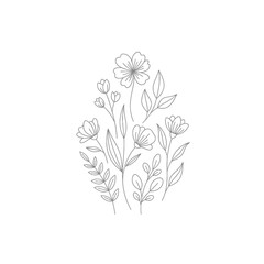 Delicate Floral Illustration with Outlined Petals Leaves and Stems on White Backdrop