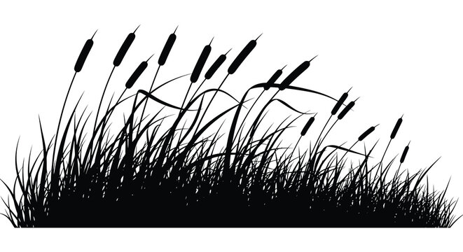 black grass and cattails plants on white background silhouette high quality professional detailed modern elegant stylish clean crisp vibrant colorful digital