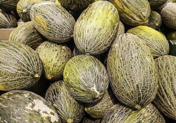 Melons in a fruit shop