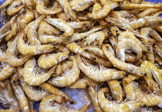 Cooked prawns at the fishmonger's