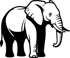 Fototapeta premium Elephant in black and white animal drawing, 