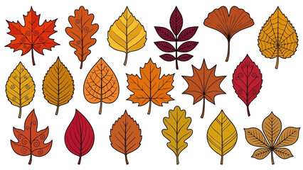 Obraz premium Autumn Leaf Vector Illustration Set – Stylized Fall Foliage in Red, Orange, Yellow for Seasonal Design, Nature Education, Botanical Art, and Decorative Use