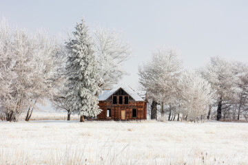 Scenic winter landscape with an old wooden house in the snow