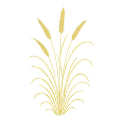 Fototapeta premium PNG Elegant golden wheat illustration.
