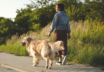 Female Dog Owner Walks Adorable Golden Retriever At Sunset On A Street During Daily Routine