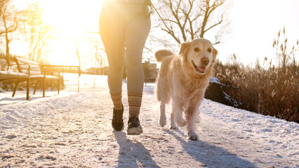 Golden Retriever Running With Owner On A Snowy Park Path