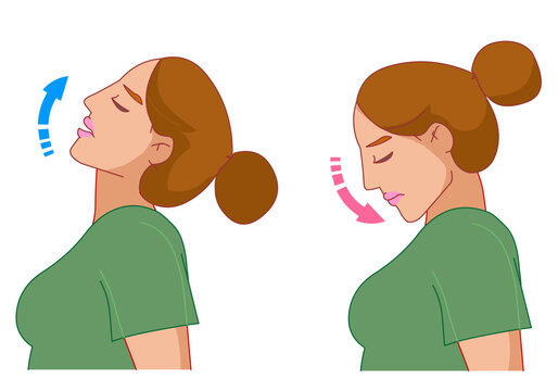 Neck flexion, extension exercise. Look Up, down.  The cartoon brunette character's movements for the neck muscles, spine, and chin. Illustration vector