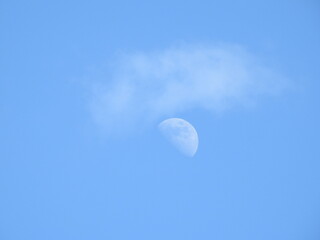 A daytime moon, and a cloud in a blue sky. Viewed above the Bombay Hook National Wildlife Refuge, Kent County, Delaware