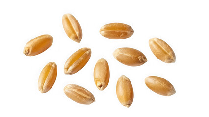 Obraz premium Group of wheat grains on transparent background isolated