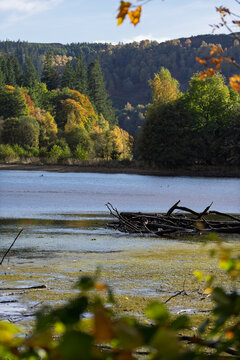 Autumn landscape with colorful trees and river in Pitlochry Scotland