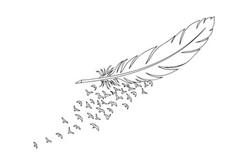 Feather transforming into flying birds minimalist line art