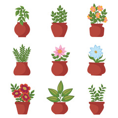 Set of potted plants and flowers. Isolated icons on white background. Vector illustration.