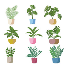 Set of potted plants and flowers. Isolated icons on white background. Vector illustration.