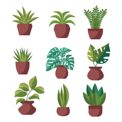 Set of potted plants and flowers. Isolated icons on white background. Vector illustration.