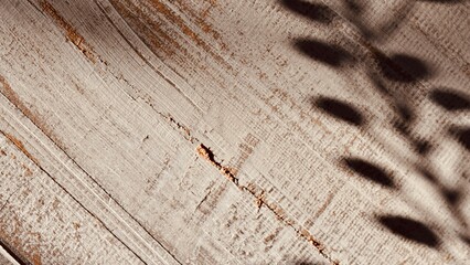 Natural Shadow Overlay of Leaves on Brown Wooden Texture. Empty Space for Text.