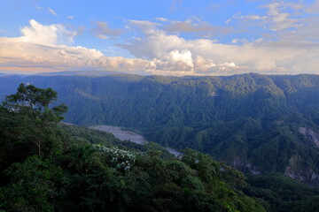 Fototapeta premium Rein forest, Parque Nacional Cayambe-Coca, Ecuador