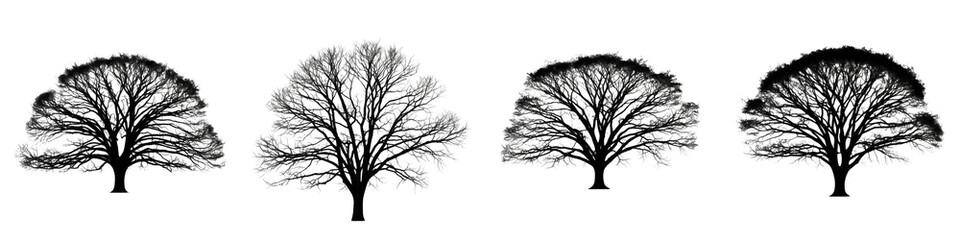 Set of Bare Winter Tree Silhouettes Collection for Nature Landscape Design, Seasonal Background, Environmental Concept Art isolated on transparent PNG background, oil paint