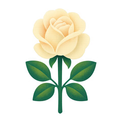 Fototapeta premium PNG Elegant yellow rose illustration.