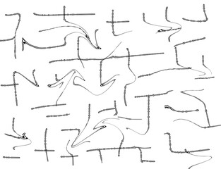 Obraz premium Black and white expressive brush stroke abstract artwork