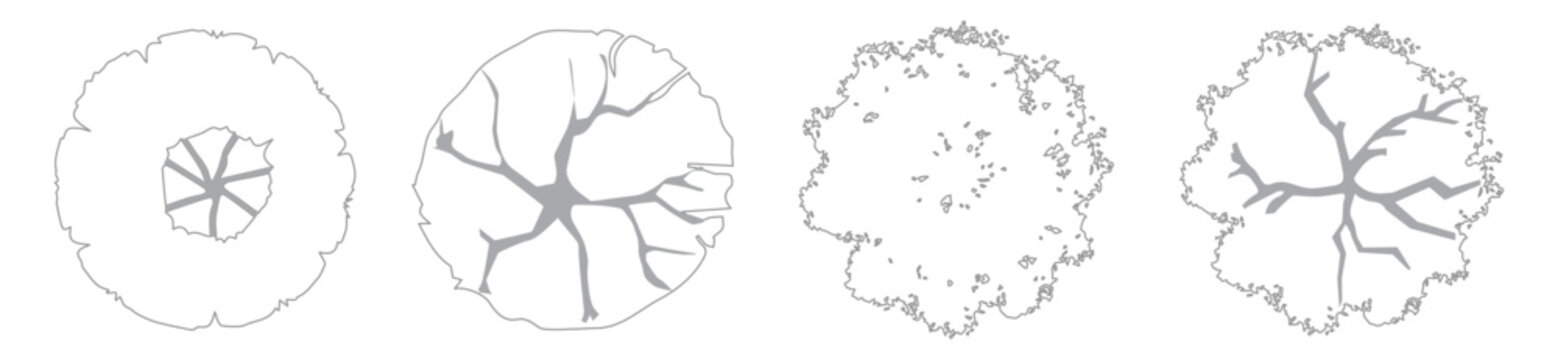 CAD Trees Top View, Editable Canopy Blocks for Landscape and Site Planning