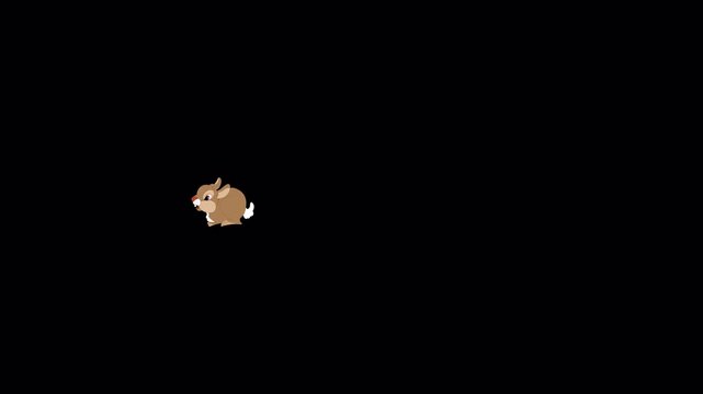 Squirrel Running Animation with Transparent Background. Gilheri running animation for overlays and kids content.