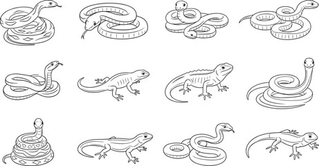 A collection of various snake illustrations with a transparent background on transparent background