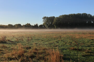 Fr&uuml;hdunst in den Feldern von Boltenhagen	