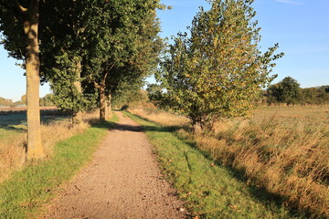 Obraz premium Frühdunst in den Feldern von Boltenhagen 