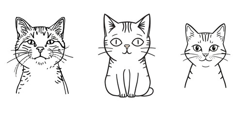 Fototapeta premium Line drawing cat illustration isolated on transparent background