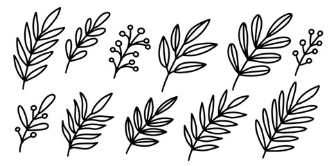 Delicate hand drawn botanical branch outlines in black line style. Minimal floral sketch perfect for stationery, wedding design, packaging, patterns, and elegant visual compositions