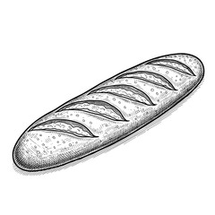Baguette loaf with multiple slashes on surface and crusty texture  