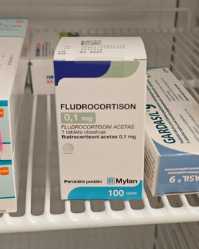 Prague,Czech Republic-14.01.2026: Fludrocortisone by Mylan containing fludrocortisone acetate is used for hormone replacement in adrenal insufficiency to maintain sodium balance and blood pressure con