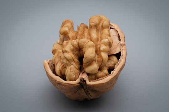 Walnut Kernel Close Up on Neutral Background