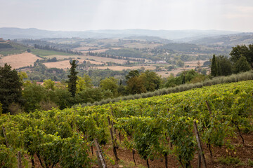 Naklejka premium view from San Lucchese over a Tuscan landscape with green agricultural fields near Poggibonsi, province of Siena, Tuscany, Italy 