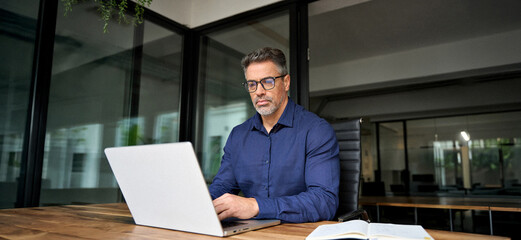 Busy serious middle aged man executive business owner or investor using laptop. Middle aged...