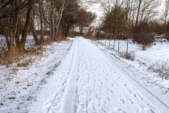 Winter countryside path with human footprints and sunlight.