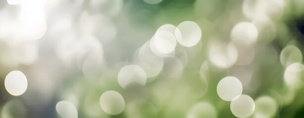 Obraz premium Soft green and white bokeh light background texture