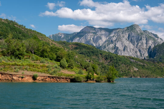 Turquoise water of Komani Lake stretches toward green hills and dramatic grey limestone peaks in northern Albania under a bright blue summer sky with scattered clouds