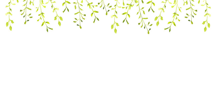 Soft watercolor green leaves hanging from above, creating a fresh spring border. Gentle botanical elements suitable for Easter designs, invitations, stationery, packaging, and light children themes.