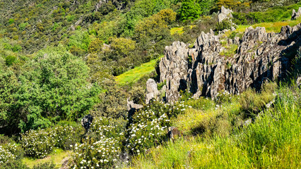Rocks of various shapes and colors in the high mountains of central Spain, Madrid.