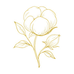 Fototapeta premium PNG Elegant golden floral illustration