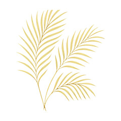 Fototapeta premium PNG Elegant golden palm leaves design.