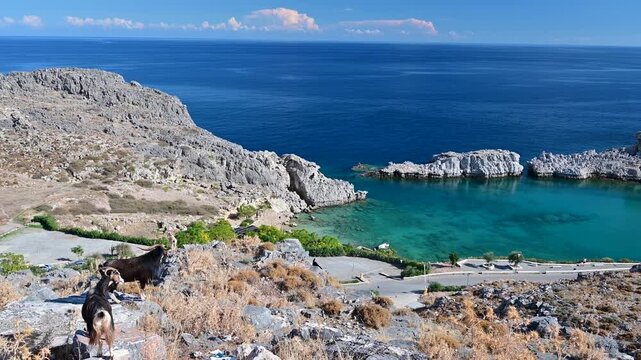St Pauls Bay with goats near Lindos on Rhodes, Greece