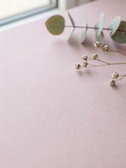 Misty Rose Recycled Paper with Dried Statice and Eucalyptus &ndash; Eco Valentine Background