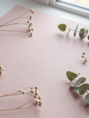 Misty Rose Recycled Paper with Dried Statice and Eucalyptus &ndash; Eco Valentine Background