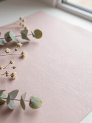 Misty Rose Recycled Paper with Dried Statice and Eucalyptus &ndash; Eco Valentine Background