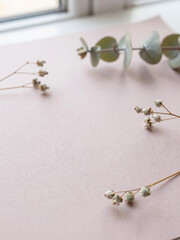 Misty Rose Recycled Paper with Dried Statice and Eucalyptus &ndash; Eco Valentine Background